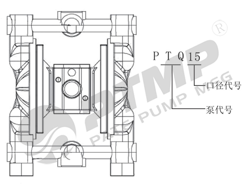 PTQ隔膜泵型號(hào)意義500.jpg